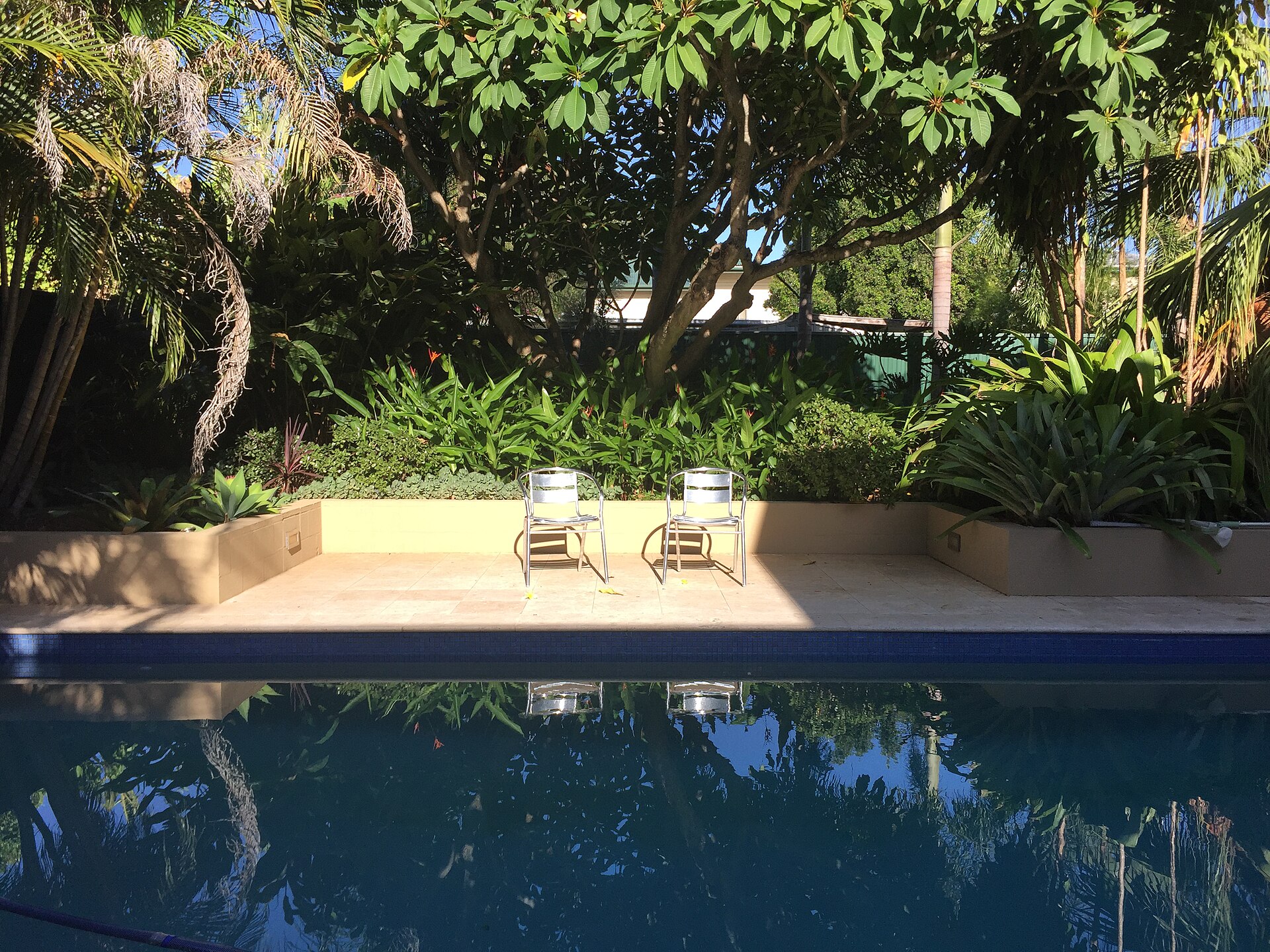 Backyard swimming pool in Queensland at morning